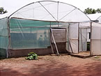 HOW TO CONSTRUCT POLYHOUSE